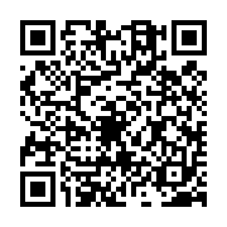 QR code for DIB4134