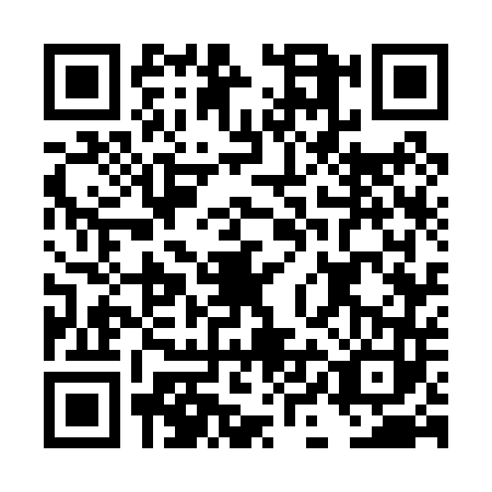QR code for DIG0439