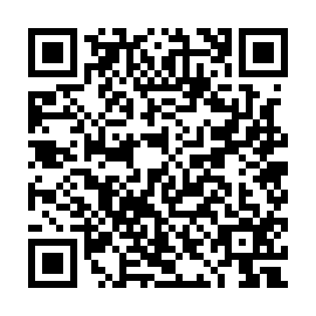 QR code for DIG1165