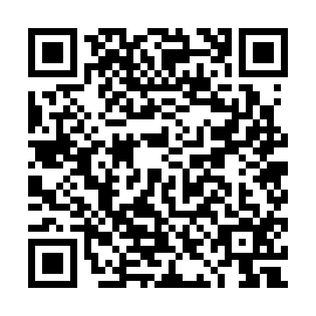 QR code for DIG3167