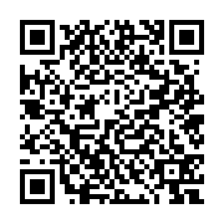 QR code for DIG7333