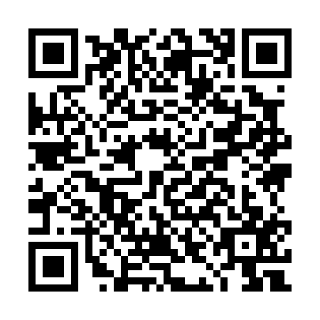 QR code for DII0173