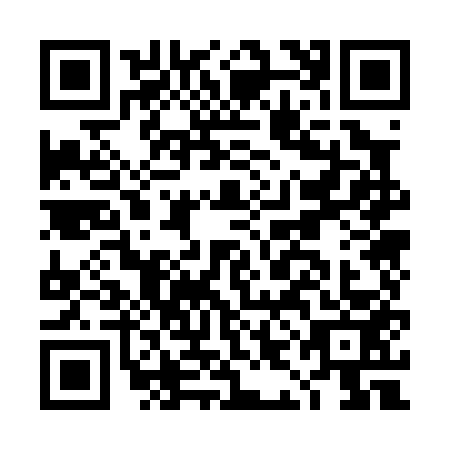 QR code for DIO0533