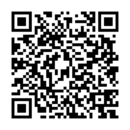 QR code for DIP4387