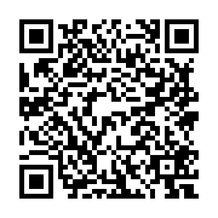 QR code for DIY8096