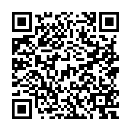 QR code for DIY9538