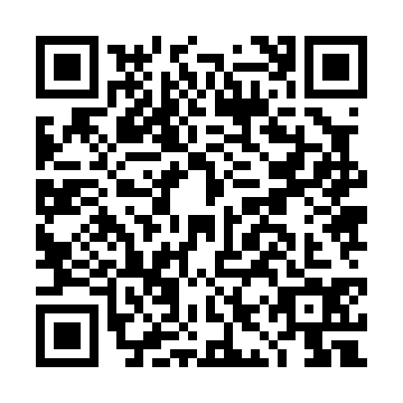 QR code for DIZ0342