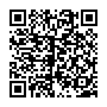 QR code for DJJ0384