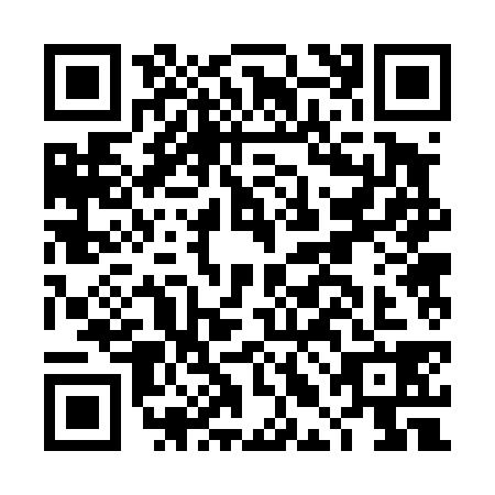 QR code for DLB4387