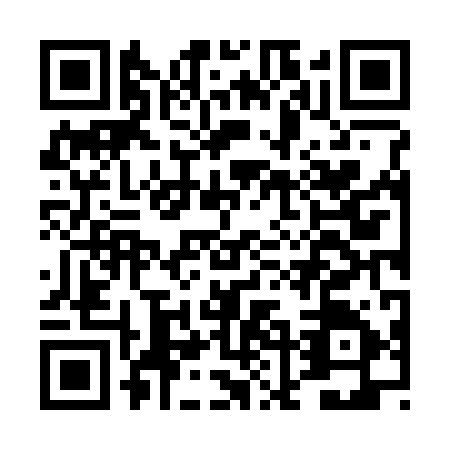 QR code for DLN3951
