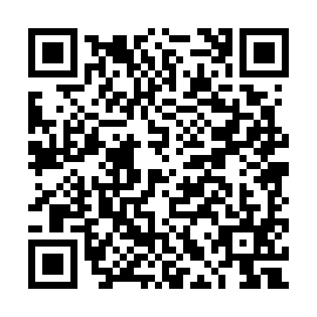 QR code for DLP7953