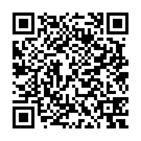 QR code for DLS4384