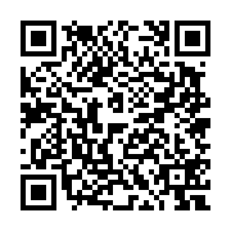 QR code for DLU4197