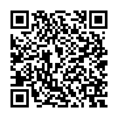 QR code for DLU6069