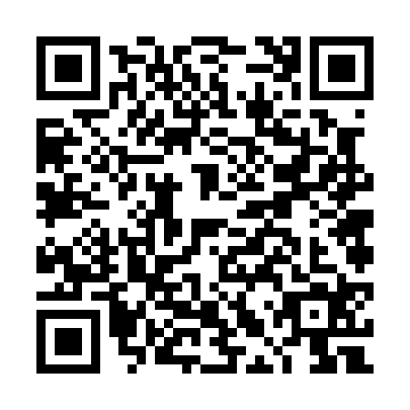 QR code for DLV0241