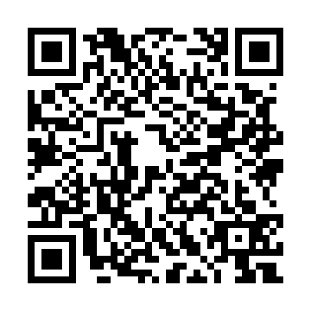 QR code for DLY5333