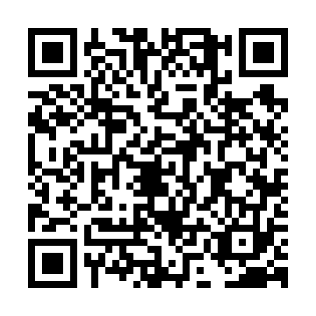 QR code for DMF6733