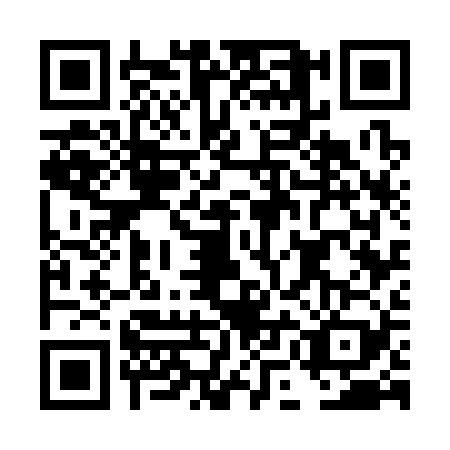 QR code for DMG3290
