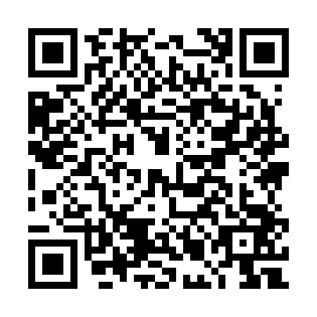 QR code for DMI2434