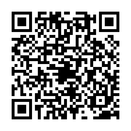 QR code for DMR0976
