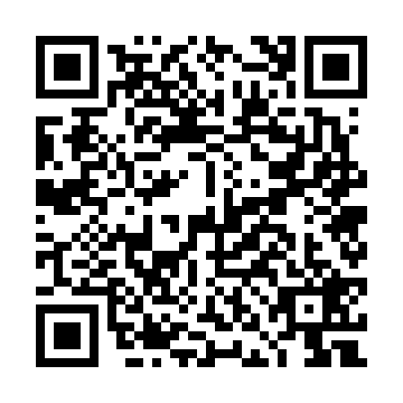 QR code for DNG6295