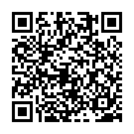 QR code for DNS1378