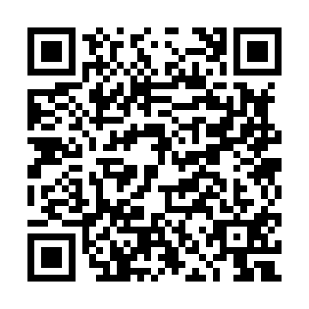 QR code for DNS8117