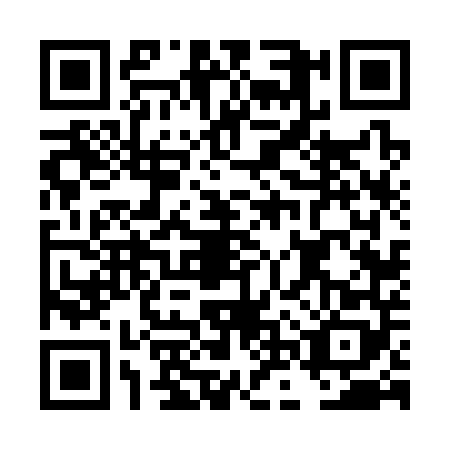 QR code for DNV3481