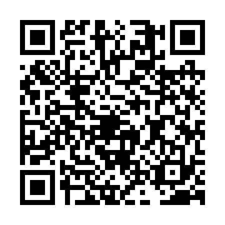 QR code for DNY2339