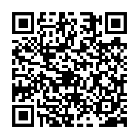 QR code for DNZ6509