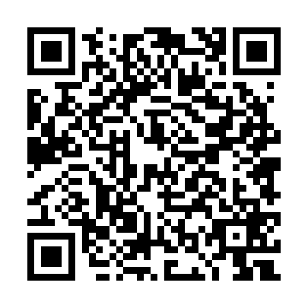 QR code for DOT2699