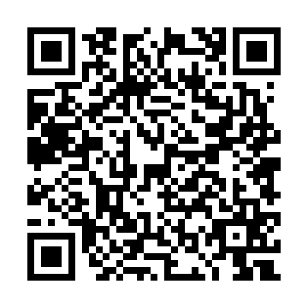 QR code for DOT6655