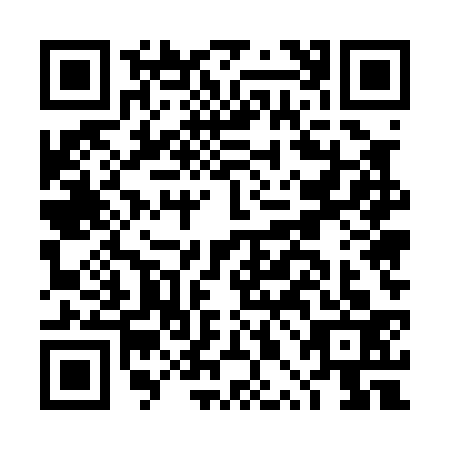 QR code for DPE0338