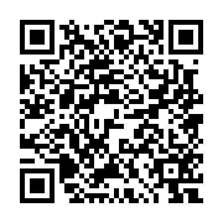 QR code for DPP0565
