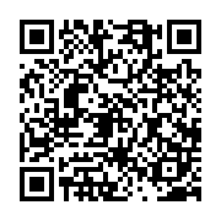 QR code for DPP3029