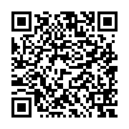 QR code for DPP3991
