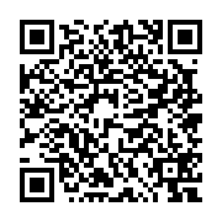 QR code for DPU0196
