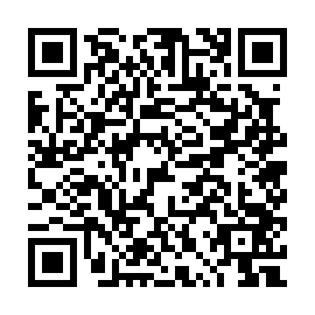 QR code for DPW0436