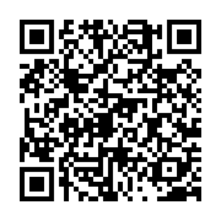 QR code for DQL0095