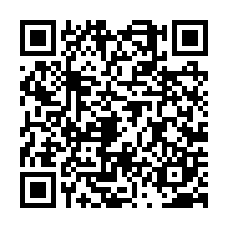 QR code for DQL2071