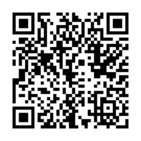 QR code for DQL2313