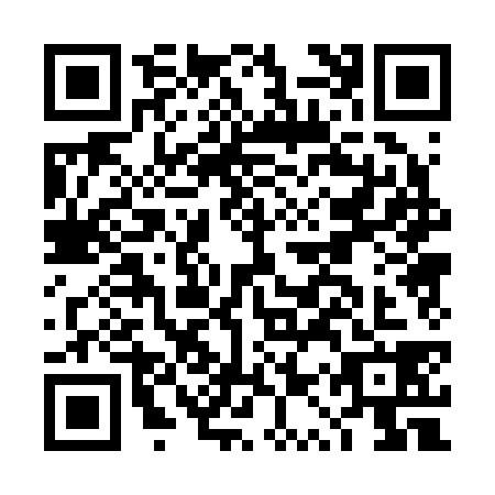 QR code for DQP2384