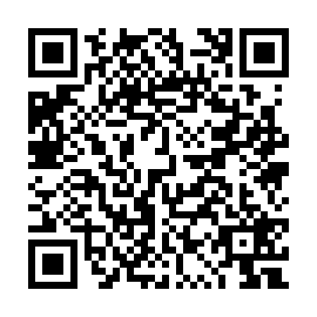 QR code for DQQ3291