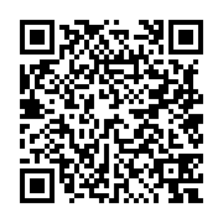 QR code for DQW8381
