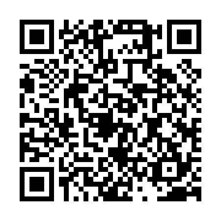 QR code for DSB0346