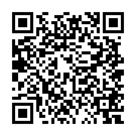 QR code for DSE4489