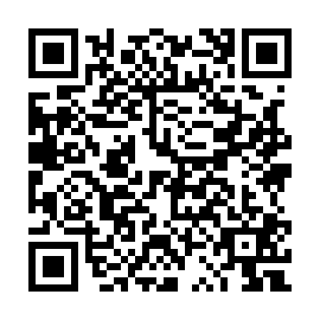 QR code for DSI1010