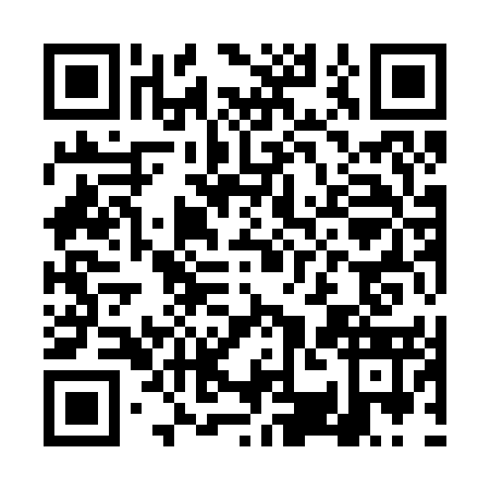QR code for DSI2535