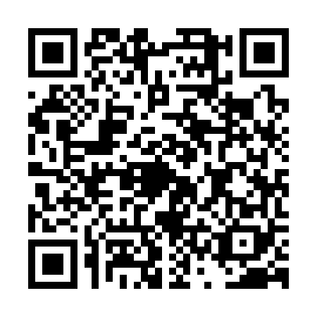 QR code for DSI3687