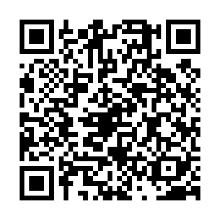 QR code for DSI4296